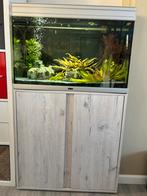 Aqualantis Aquarium 80x40x55, Dieren en Toebehoren, Ophalen, Zo goed als nieuw