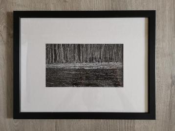 Berkenbos in de Liereman - pentekening beschikbaar voor biedingen