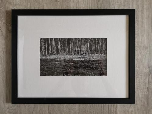Berkenbos in de Liereman - pentekening, Antiek en Kunst, Kunst | Tekeningen en Fotografie, Ophalen