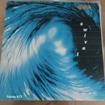 one muffet 12 inch maxi, Ophalen of Verzenden, Gebruikt, 12 inch, Techno of Trance