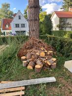 Bois hout, Tuin en Terras, Brandhout, 3 tot 6 m³, Ophalen, Overige houtsoorten, Stammen