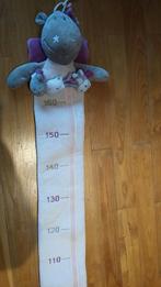 toise Noukies, Enlèvement