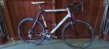 Koers Crossfiets Zannata beschikbaar voor biedingen