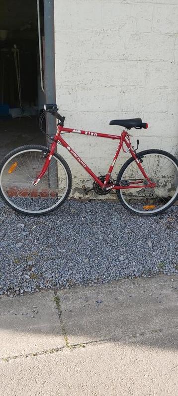 Herenfiets beschikbaar voor biedingen