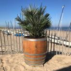 Halve wijnvaten, compleet voorzien van planten geplaatst, Tuin en Terras, Niet ingevuld, Niet ingevuld, Nieuw, Ophalen of Verzenden