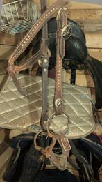 Paardenspullen te koop !, Dieren en Toebehoren, Ophalen, Zo goed als nieuw