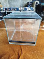 Terrarium, Ophalen, Zo goed als nieuw