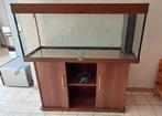 Aquarium JUWEL 240, Dieren en Toebehoren, Ophalen, Gebruikt