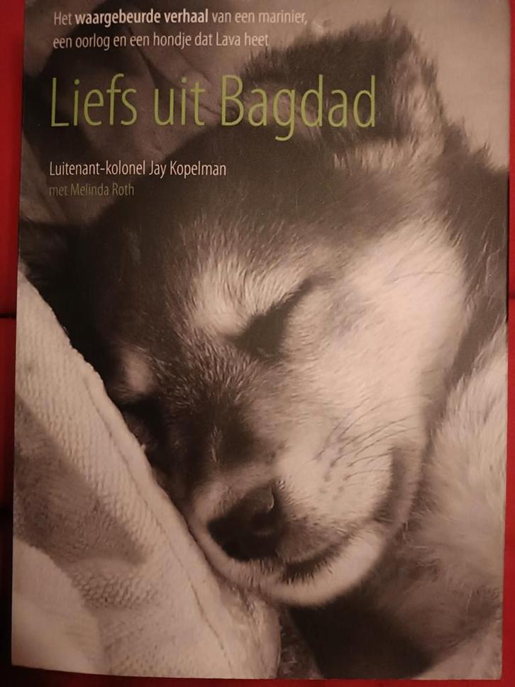 J. Kopelman - Liefs uit Bagdad, Boeken, Overige Boeken, Zo goed als nieuw, Ophalen of Verzenden