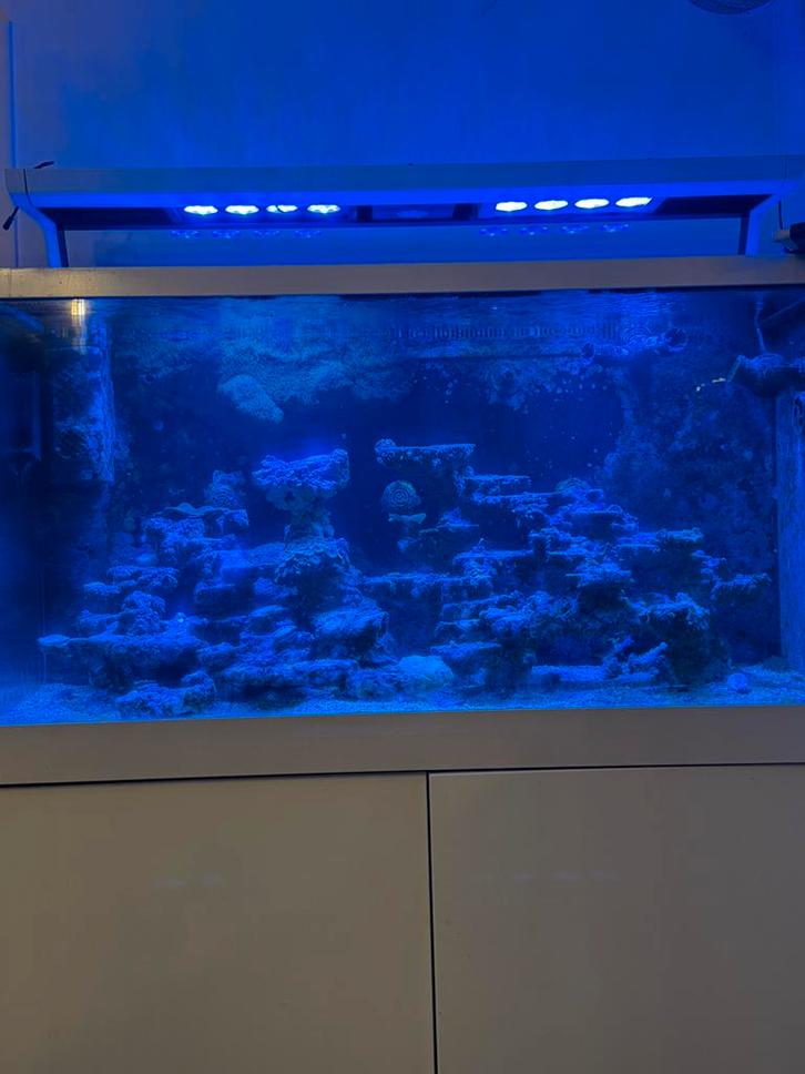 Red sea max 500, Dieren en Toebehoren, Vissen | Aquaria en Toebehoren, Gebruikt, Ophalen