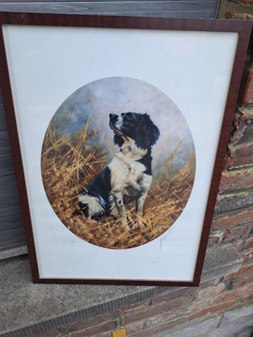 lithographie chien signe john trickette beschikbaar voor biedingen