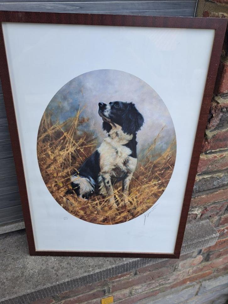 lithographie chien signe john trickette, Antiek en Kunst, Kunst | Litho's en Zeefdrukken, Ophalen of Verzenden