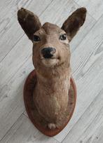 Tête d'animal empaillé pour deco 15 euros, Ophalen