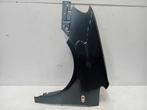 SPATBORD LINKS VOOR Volkswagen Caddy III (2KA,2KH,2CA,2CH), Gebruikt, Links, Volkswagen, Spatbord