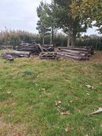 Gratis treinbildes af te halen in kruisem, Tuin en Terras, Brandhout, Ophalen