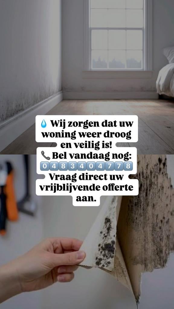 vochtbestrijding, Hobby en Vrije tijd, Knutselen, Knutselwerk, Ophalen