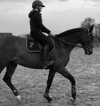 Stalmedewerker/ ruiter aangeboden