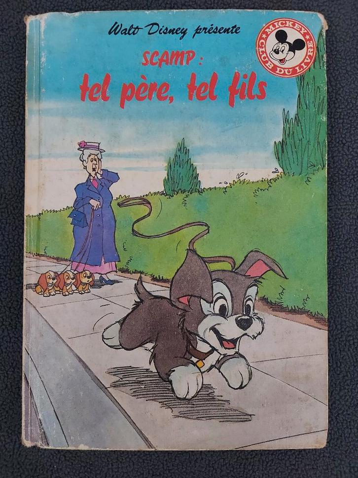 Disney Scamp, Boeken, Kinderboeken | Baby's en Peuters, Gelezen, Ophalen