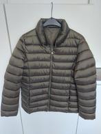 Groene gewatteerde damesjas maat 46, Kleding | Dames, Jassen | Winter, Ophalen, Zo goed als nieuw, Maat 46/48 (XL) of groter, Groen