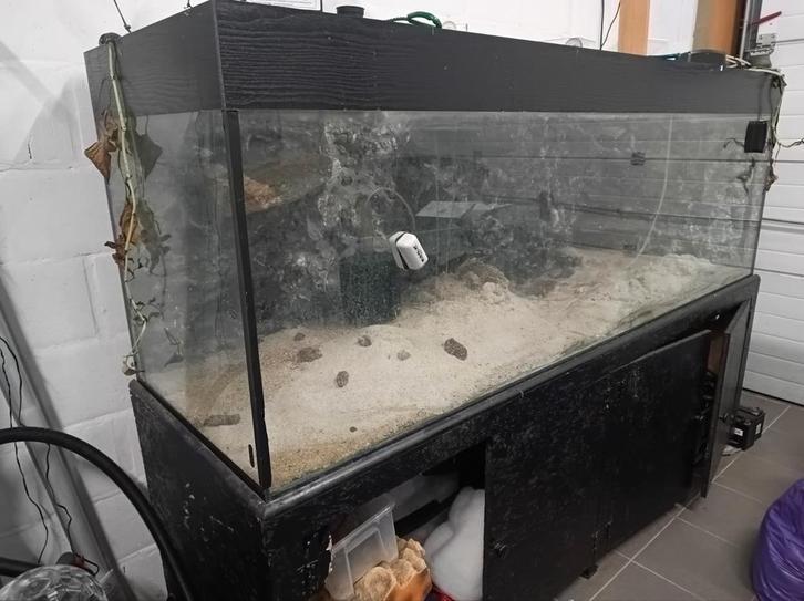 Aquarium +/- 200 cm x 60 cm x 68 cm h (56 cm h niveau d'eau), Animaux & Accessoires, Reptiles & Amphibiens | Accessoires, Enlèvement