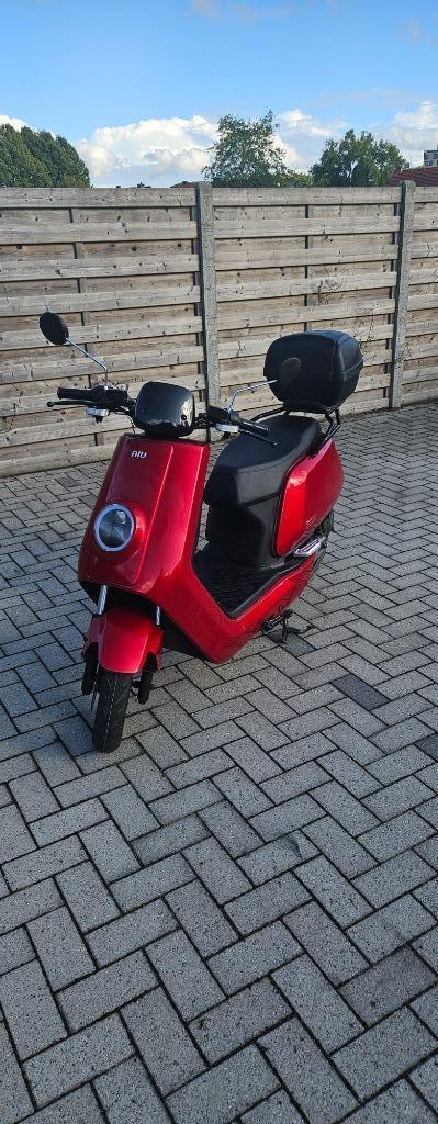 NIU N1S rood Klasse B, Fietsen en Brommers, Brommers | Overige merken, Gebruikt, Klasse B (45 km/u), Ophalen
