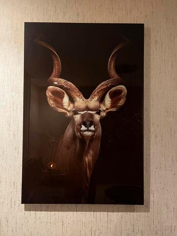 Wandeco in glas beschikbaar voor biedingen
