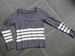 blauw-grijs trui met v-hals, Kleding | Dames, Ophalen of Verzenden, Gedragen, Maat 38/40 (M), Blauw