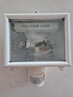 halogeen lamp 500W met sensor, Doe-het-zelf en Bouw, Bouwverlichting, Ophalen, Nieuw, 500 watt of meer, Lamp