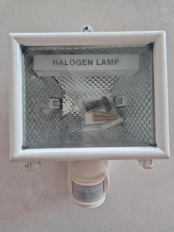 halogeen lamp 500W met sensor beschikbaar voor biedingen