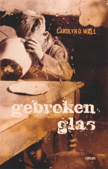 Te Koop Boek GEBROKEN GLAS Carolyn D Wall beschikbaar voor biedingen