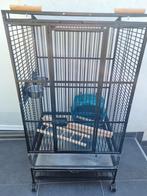 Cage perroquet, Dieren en Toebehoren, Zo goed als nieuw