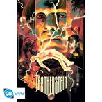 Universal Monsters - Poster Maxi (91.5x61cm) - Frankenstein, Rechthoekig Staand, Deurposter of groter, Nieuw, Ophalen of Verzenden