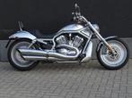 Harley Davidson V - Rod '2002, Motos, Motos | Harley-Davidson, 2 cylindres, Plus de 35 kW, Chopper, 1130 cm³