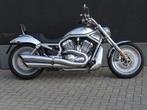 Harley Davidson V - Rod '2002, 2 cylindres, Plus de 35 kW, Chopper, 1130 cm³