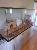 Terrarium 120cm breed 60cm hoog 60cm diep, Dieren en Toebehoren, Ophalen, Zo goed als nieuw
