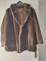Jas van echt bont., Kleding | Dames, Jassen | Winter, Ophalen, Maat 46/48 (XL) of groter