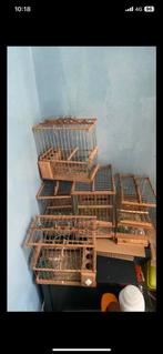 Cages oiseaux, Animaux & Accessoires, Utilisé