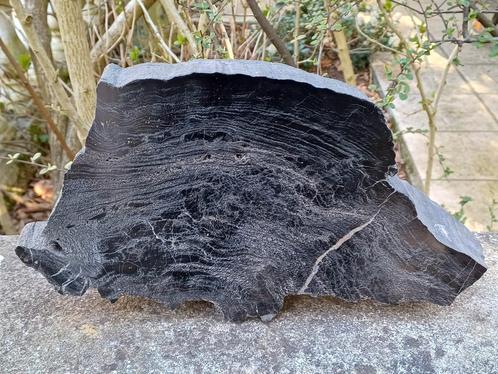 Bijzonder stuk gefossileerd hout - zwarte kleur, Verzamelen, Mineralen en Fossielen, Fossiel, Ophalen of Verzenden