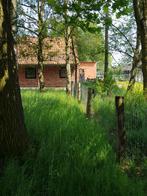 kleinschalige pensionstal stal heeft 1plekje vrij