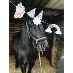 Friese merrie, Dieren en Toebehoren, Paarden, Merrie, Gechipt, 3 tot 6 jaar, 160 tot 165 cm