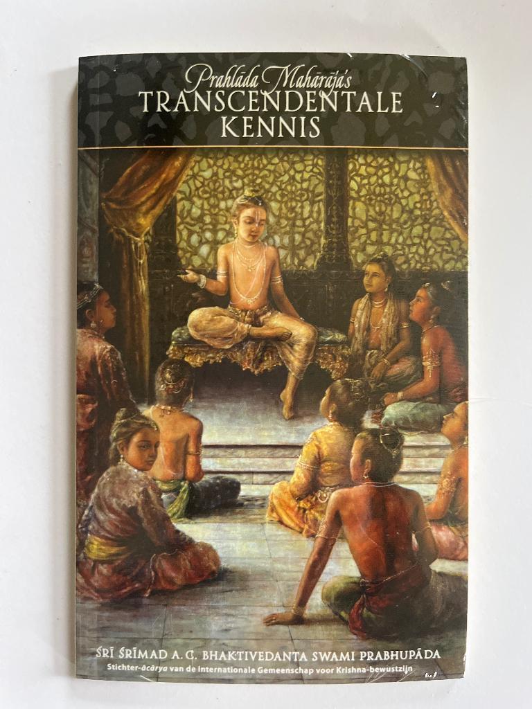 Transcendentale kennis 100 exemplaren, Livres, Ésotérisme & Spiritualité, Neuf, Autres types, Spiritualité en général, Enlèvement ou Envoi