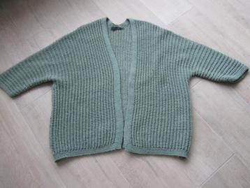 Lola & Liza groen los vest met gouden draad maat L/XL beschikbaar voor biedingen