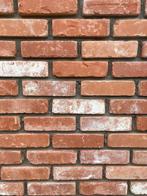 Gevelsteen Recup zevendonkse rijnvorm Wienerberger, Huis en Inrichting, Overige Huis en Inrichting, Ophalen, Nieuw