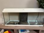 Aquarium + chauffage + aspirateur, distributeur nourriture, Ophalen, Zo goed als nieuw