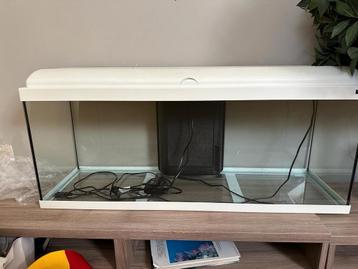 Aquarium + chauffage + aspirateur, distributeur nourriture beschikbaar voor biedingen