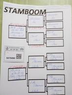 Kweek duivinnen !!!?, Dieren en Toebehoren, Vogels | Duiven