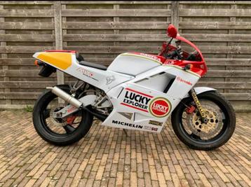 Cagiva mito lucky explorer 125cc 2takt, 125 cm³, Particulier, 12 à 35 kW, 1 cylindre