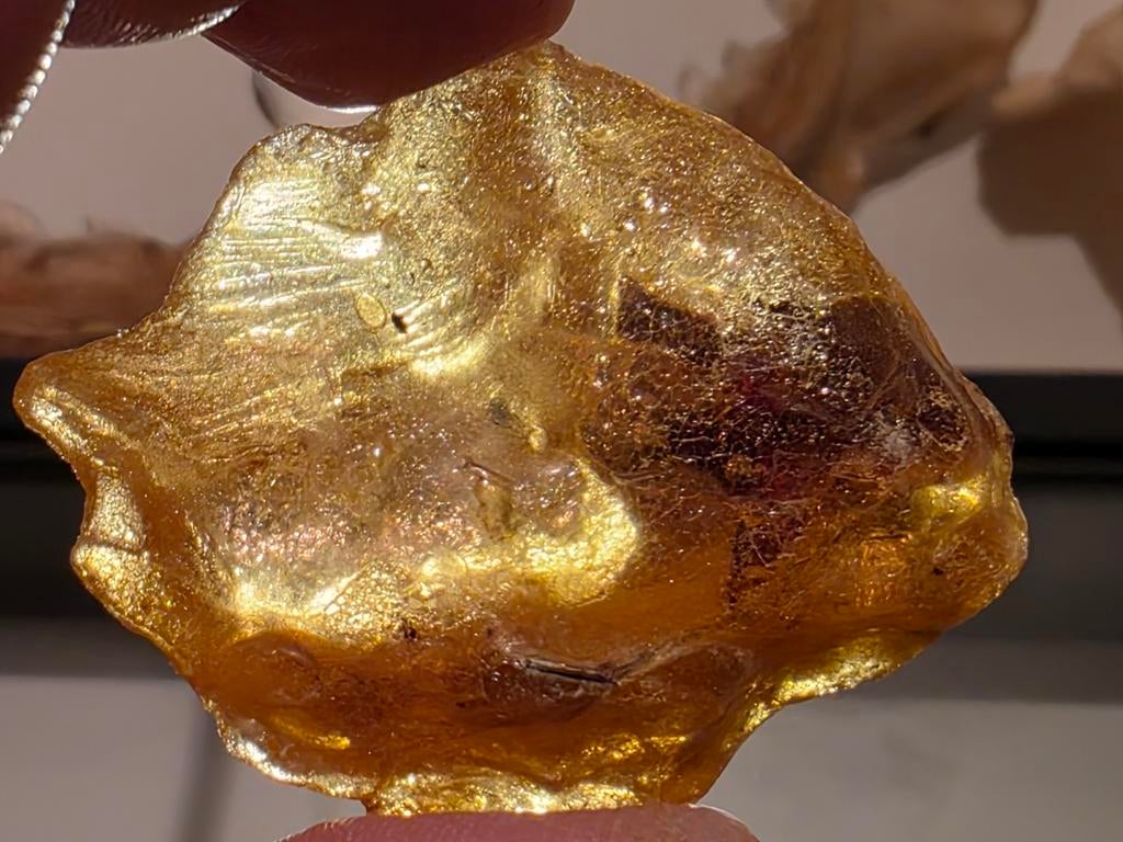 Mooi groot stuk copal amber met insecten uit Madagascar 5 cm, Verzamelen, Ophalen of Verzenden, Fossiel