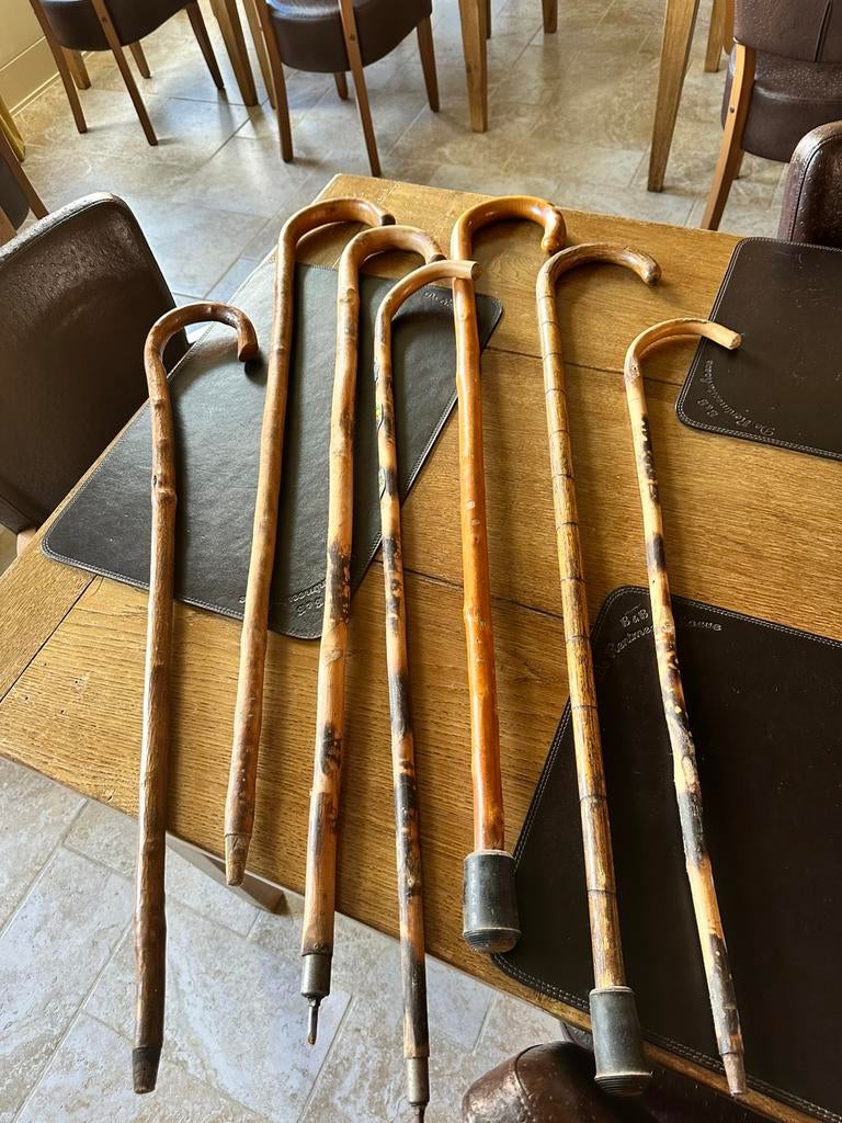 Série Walking Stick, Divers, Bâtons de marche, Enlèvement, Utilisé