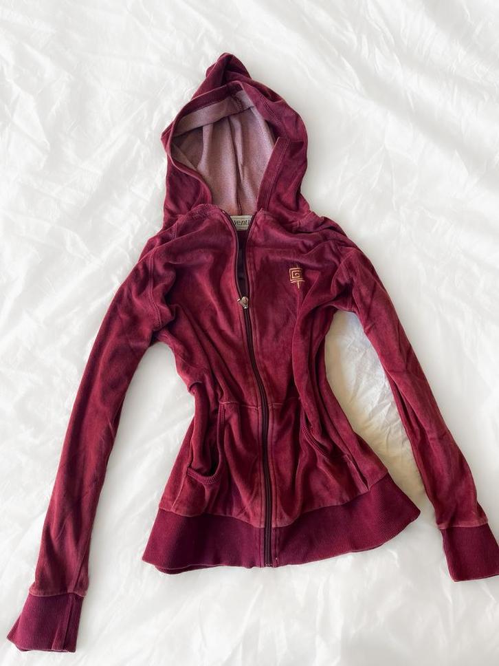 Pull en velours vintage, Vêtements | Femmes, Pulls & Gilets, Comme neuf, Taille 38/40 (M), Autres couleurs, Enlèvement ou Envoi